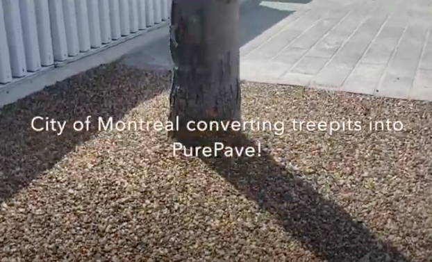 City of Montreal Treee pits