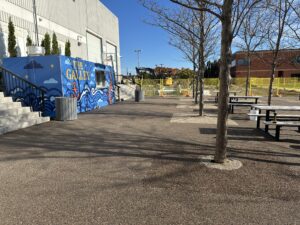 permeable tree surround in oakville by dream pave