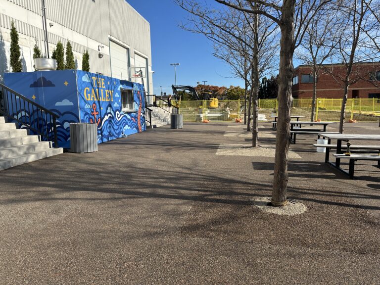 permeable tree surround in oakville by dream pave